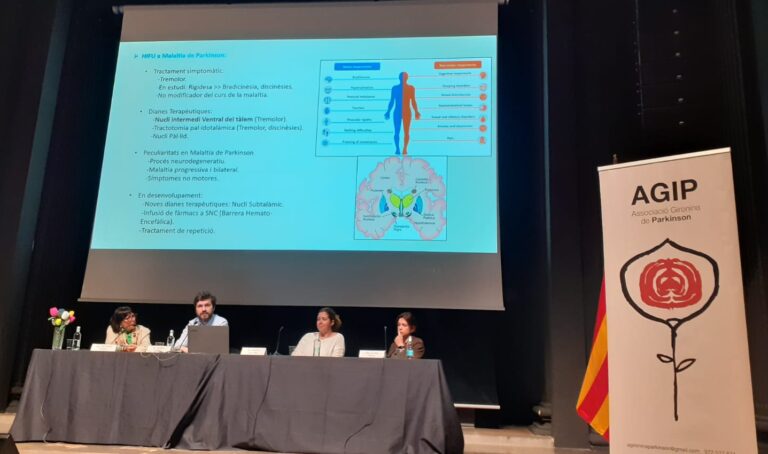 QUÈ FEM DMP Pàg 11 conferència